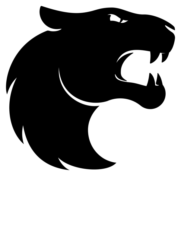 Team Furia
